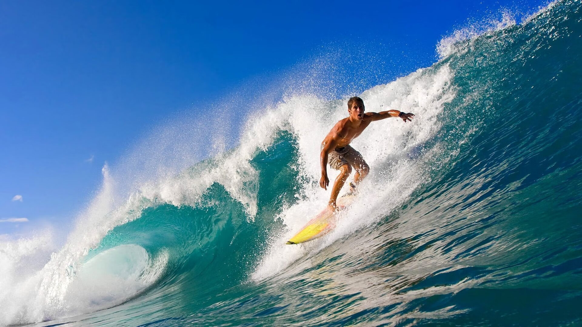 《冠军奥运篇》独家：薛明用过去铺就未来！，排球薛明的老公